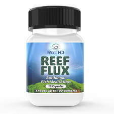 ReefHD Reef Flux picture