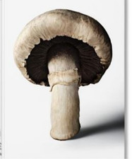 The Gourmand's Mushroom. a Collection of Stories and Recipes picture