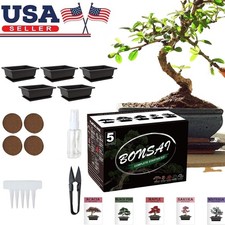5 Bonsai Tree Kit Complete Plant Growing Tools, Indoor Gardening Potted DIY Gift picture