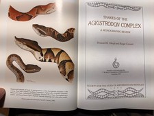 Snakes Of The Agkistrodon Complex picture