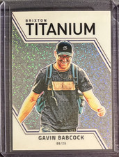 Brixton 2025 Titanium LUX #22 Gavin Babcock Disc Golf Pro Tour 09/25 picture
