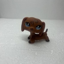 Hasbro Littlest Pet Shop authentic #640 Figure w/ Accessories Phone Bottle picture