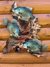 Black Crappie Replica Driftwood Scene, 2D Flat Metal Fish Art Cabin Decor picture