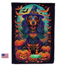 Caroline's Treasures DAC1501GF Longhair Black and Tan Dachshund Witchy picture