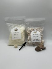 Grey Oyster Mushroom Plug Spawn 100x & drill bit/wax combo pack -  picture