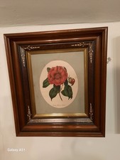 Exquiste Pair of Period Victorian Floral Lithographs picture