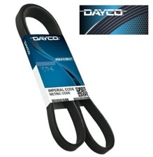 NEW Dayco 5040335, 5040333 Serpentine Belt-GT picture