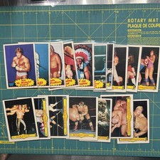 1985 O-Pee-Chee WWF 33-Card Starter Set 6 RCs No Duplicates Orndorff picture