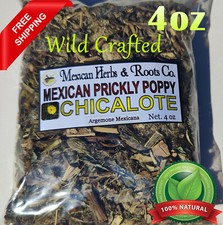 Chicalote, Mexican prickly poppy, satyanashi argemone mexicana 4oz  wildcrafted picture