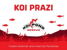 KOI PRAZI Fluke Destroyer for Fish Ponds & Aquariums - 100 Grams picture