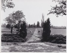 J. C. SKEETS MEADORS * GATE to BLUE GRASS HORSE FARM * KENTUCKY * c. 1960s Photo picture