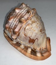 Vtg Hand Carved Carved Conch Shell Woman Italian 5 in Cameo Style  picture
