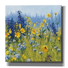 Epic Graffiti 'Joyful in July III' by Shirley Novak Canvas Wall Art 18