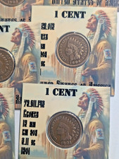 1880 - 1907   1 cent Indian Head Penny - 1 ( One ) coin picture