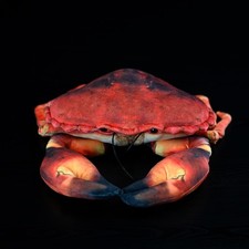 Realistic Crab Plush Toy 10” Soft Stuffed Sea Animal Ocean Marine Decor picture