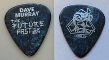 Iron Maiden Dave Murray stage concert tour guitar pick - The Future Past Tour picture