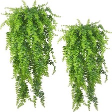 Realistic Hanging Fern Plants - 2-Pack UV Resistant, Perfect for Weddings & Home picture