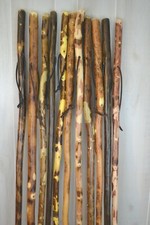 Tall Walking Sticks 48