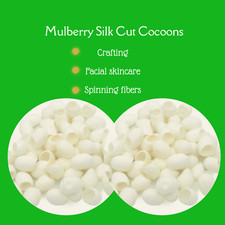 Mulberry Silk Cut Cocoons | Silk Cocoon for Spa, face, beauty | Spinning Silk picture