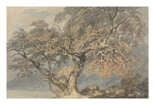 J.M.W. Turner A Great Tree : Archival Quality Giclée Art Print ca. 1796 picture