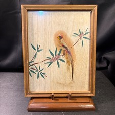 Vintage Mexican Feather Bird Art Handcrafted Wood Frame 9.5x7.5 Folk Art picture
