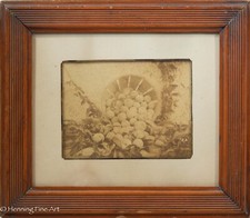 Beautiful Antique Albumen Print Photograph of Bushel of Apples, Lovely picture