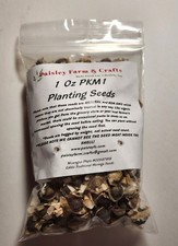 Moringa Oleifera PKM1 Seeds - US Customs Cleared - All Natural picture