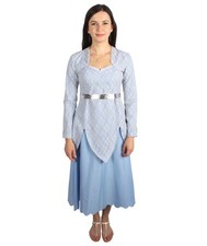 Adult Women’s Animated Movie Fairy Godmother Light Blue Gown Costume, HC-1928 picture