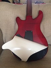 BackGuard Protect Your Glossy Poly-Finished Guitar Back Buckles Scratches Damage picture