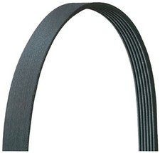 Dayco 5060955DR Serpentine Belt V-Ribbed picture