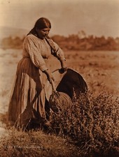 1924/90 EDWARD CURTIS Pomo Indian Woman Gathering Seeds GOLDTONE Photo Art 12x16 picture