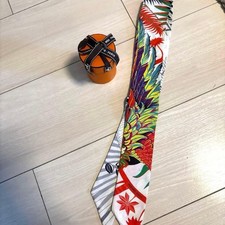 Hermes Twilly Silk Scarf Botanical Stripe Pattern with Box Very Good Rare picture