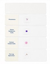 Lot 3 ETA #83403 Prepared Microscope Slide Sets 5 Each Complete Homeschool picture