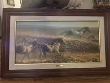 Nancy Glazier Limited Edition Unbridled Spirit Framed Signed Art Print picture
