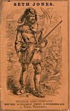 BEADLE'S DIME NOVELS Magazine 207 Unique Issue Collection On USB Drive picture