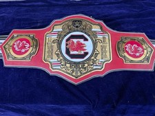 New South Carolina Gamecocks Wrestling Championship Belt 2MM Zinc picture