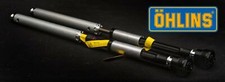 FKS228 OHLINS CARTRIDGE KIT 2017-2026 Touring models Electra Glide Road Glide picture