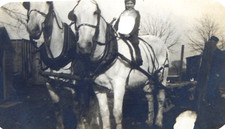 1910s CHILD ON A WHITE HORSE TEAM SOUTH DAKOTA UNPOSTED RPPC POSTCARD REAL PHOTO picture