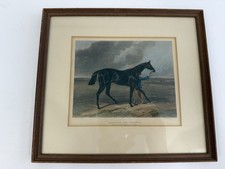 1839 Antique Horse Print “Charles The 12th” C Hancock Engraving Framed  /ro picture