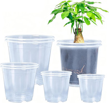 Clear Nursery Pots 10/20 Pack Variety 5 Sizes Drainage Holes Transparent Plastic picture