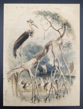 Antique H Stacy Marks RA Watercolor Painting India Stork Mangrove Bird Signed picture