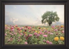 Beechdale Frames Zinnia Field Landscape Wall Art picture