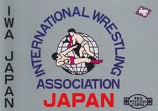 International Wrestling Association Japan (IWA) Logo 1995 BBM Pro Wrestling #235 picture