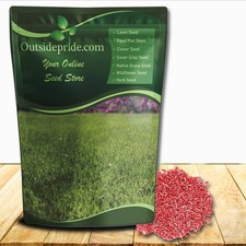 10 LBS - OptiGrowth Coated Kentucky Blue Grass Seed - Kentucky Bluegrass Seed picture