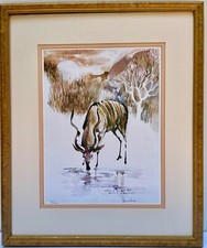 Vtg  Framed Lithograph Signed By Noted African Wild Life Artist J. Beuche 9/550 picture