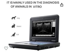 Vet Veterinary Ultrasound Scanner Portable Laptop Machine For Animal,convex picture