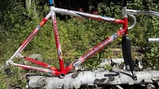 Colnago Lux Dream 55cm Campagnolo Headset  Colnago Flash Fork Columbus Fork picture