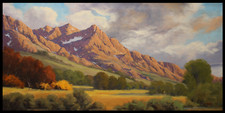 Jeff Love Art Large Original Oil Painting Arizona Catalina State Park Oro Valley picture