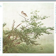 c1930s Japan Owl Painting Akimitsu Yoshida Postcard 14th Imperial Academy Art picture