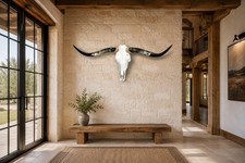 Authentic Longhorn Skull 41 Inches Wide Mounted Bull Horn Western Wall Decor picture